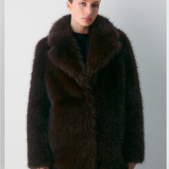 Aritzia Cortina Coat - Picture 4 of 5